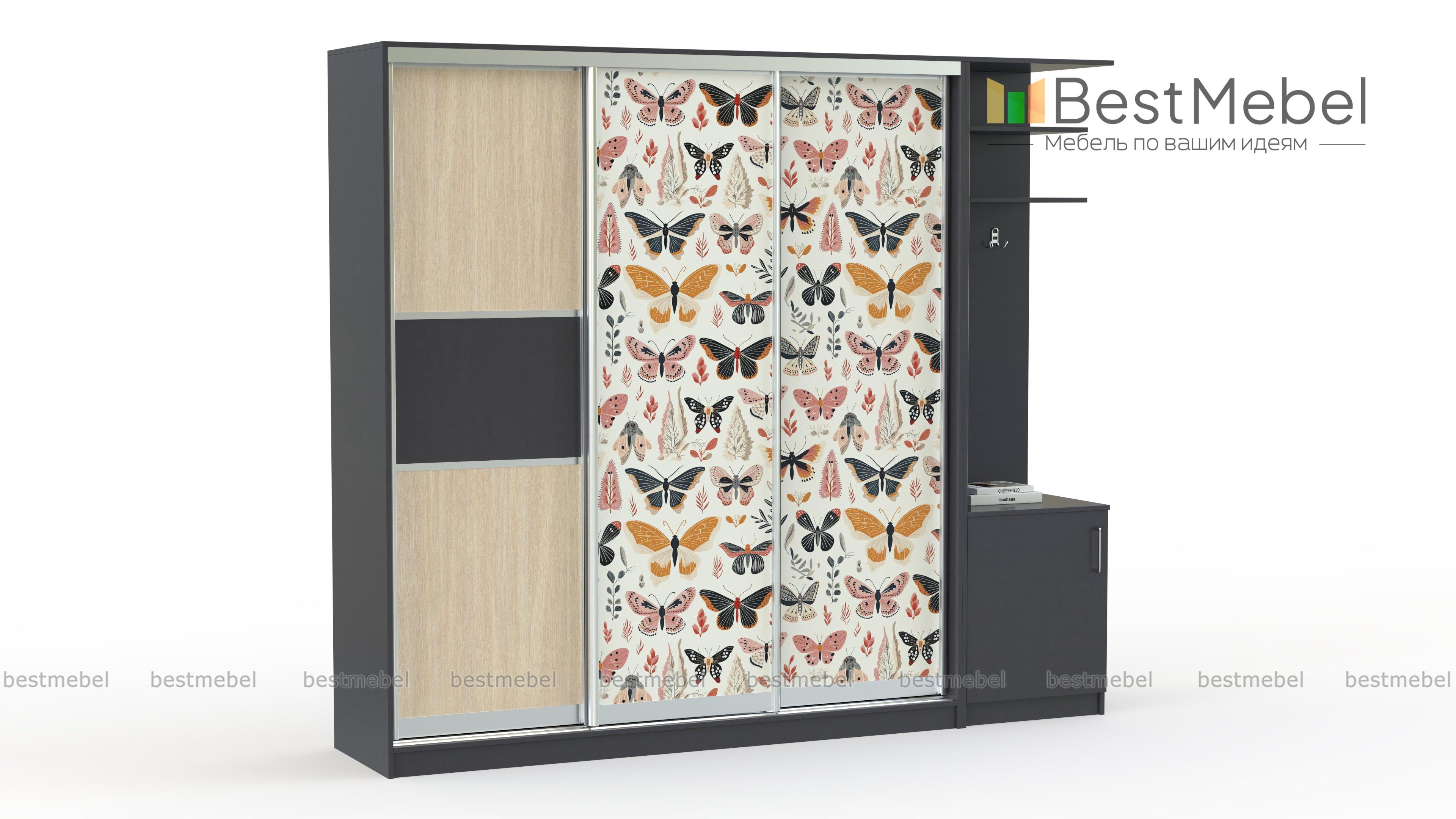 Шкаф-купе Бабочки 30 BMS - Фото