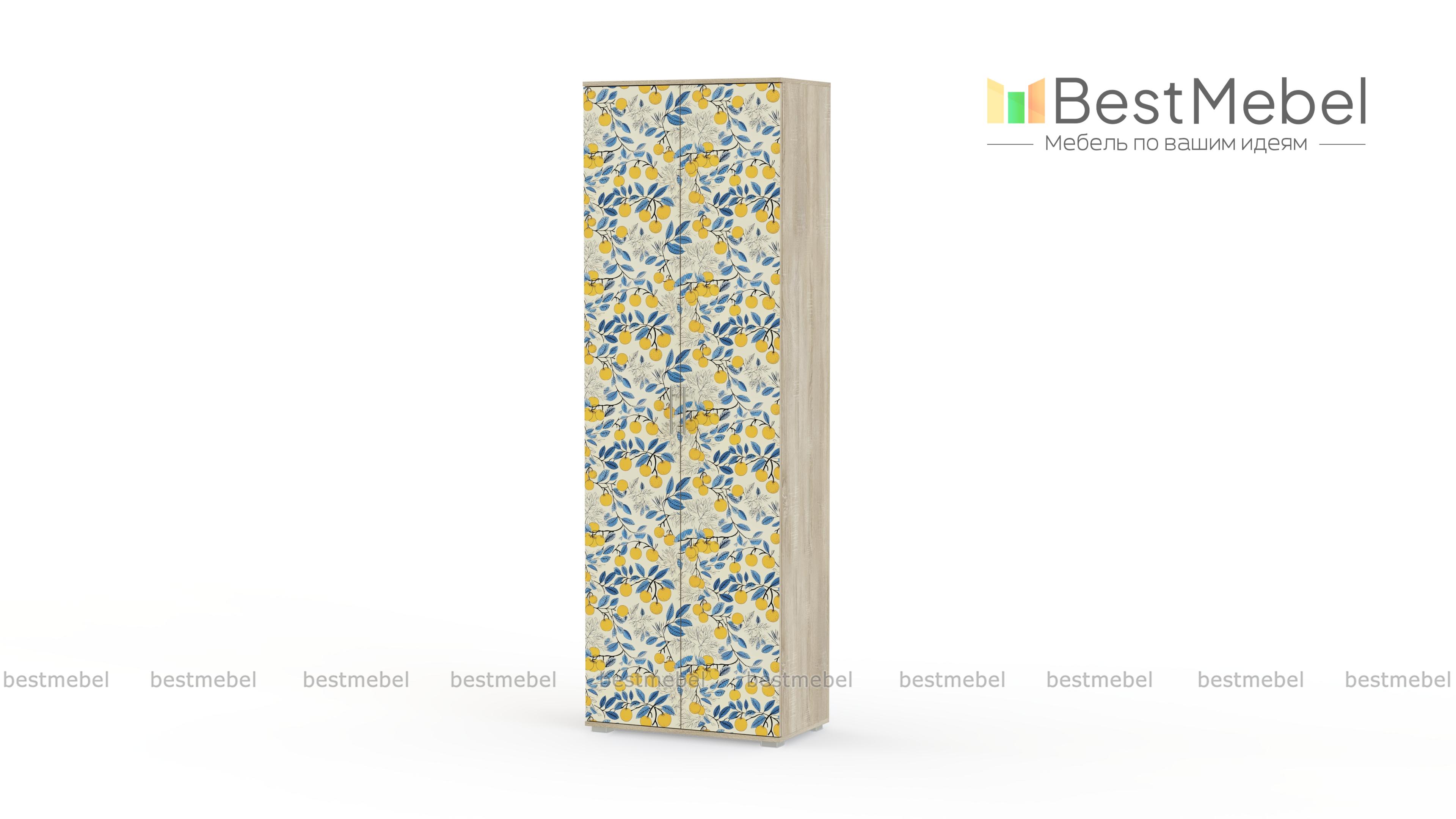 Шкаф для одежды Стиль СП-1 BMS - Фото