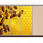 Шкаф-купе Мёд 38 BMS - Фото 9