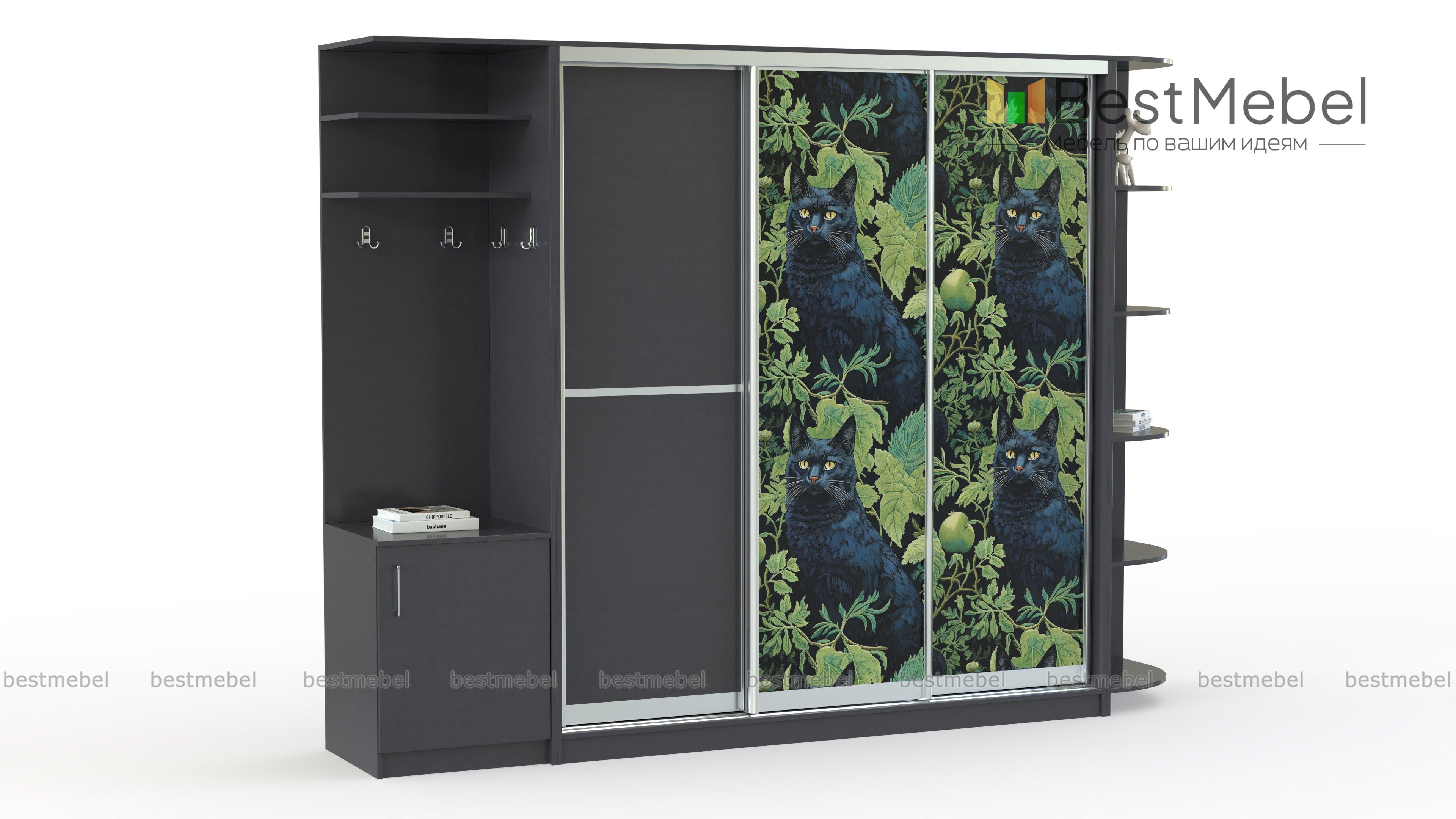 Шкаф-купе Лаванда 9 BMS - Фото