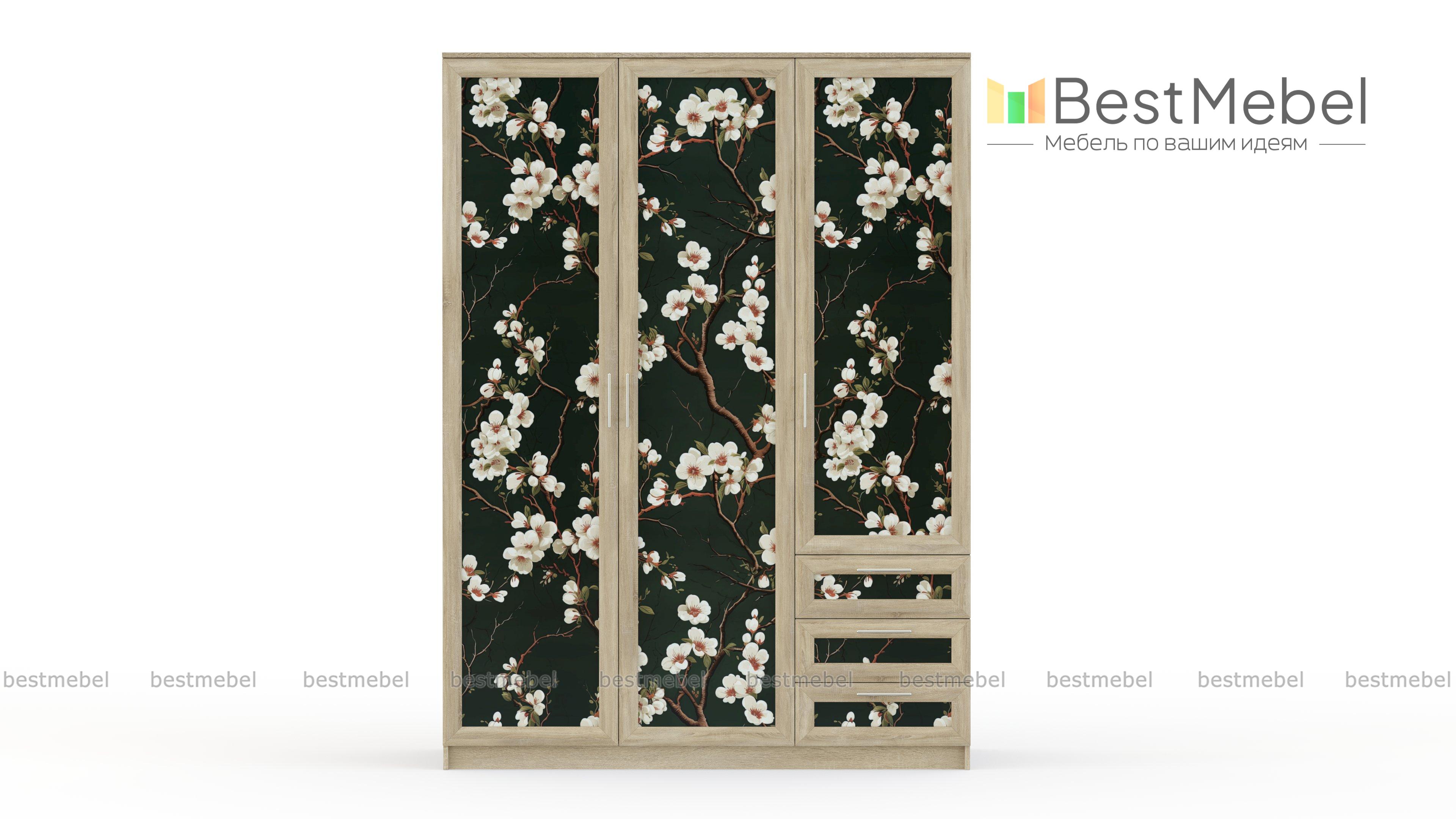 Шкаф Комфорт Люкс 3-3 BMS - Фото