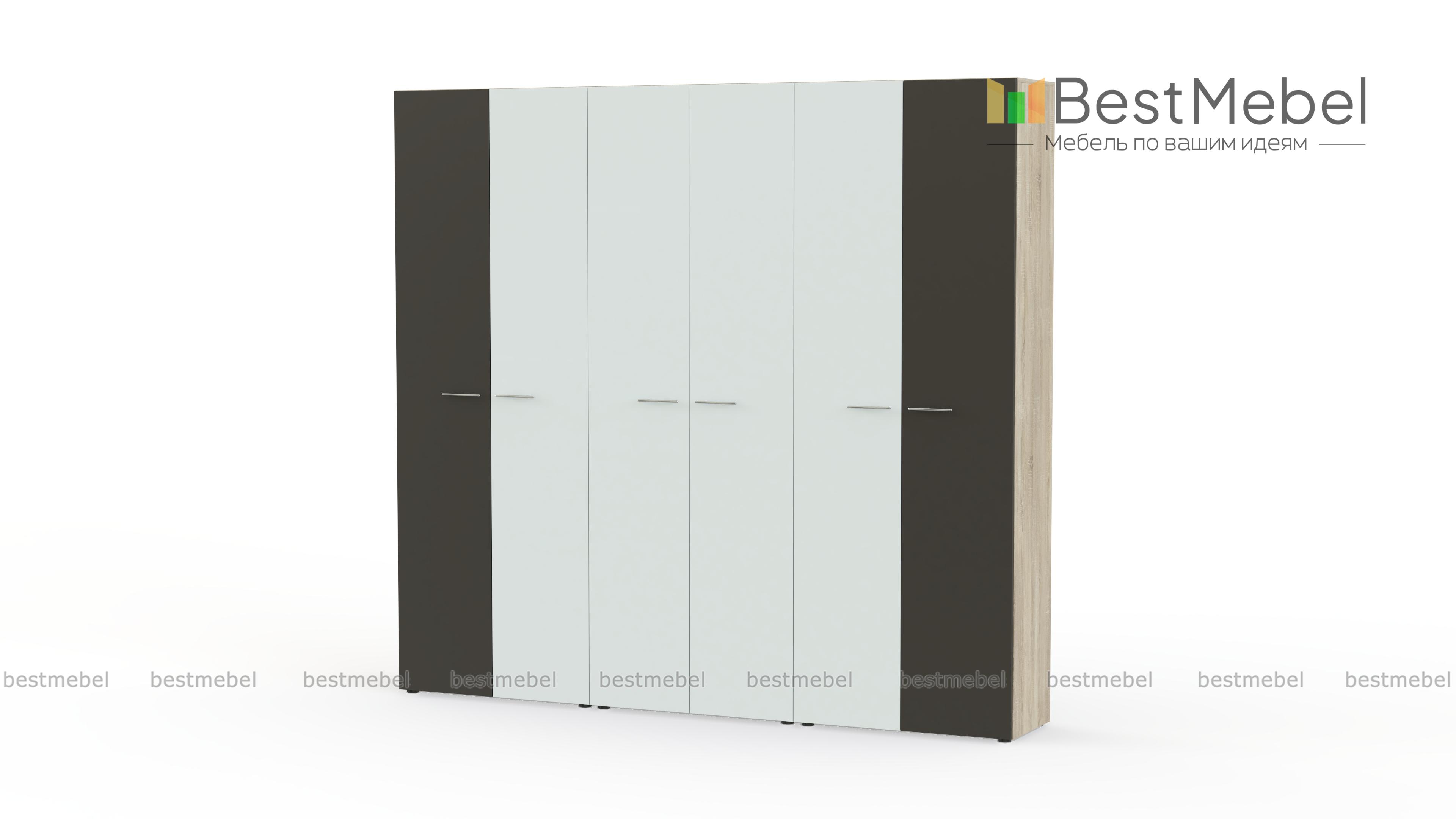 Шкаф распашной Класс 6 BMS - Фото