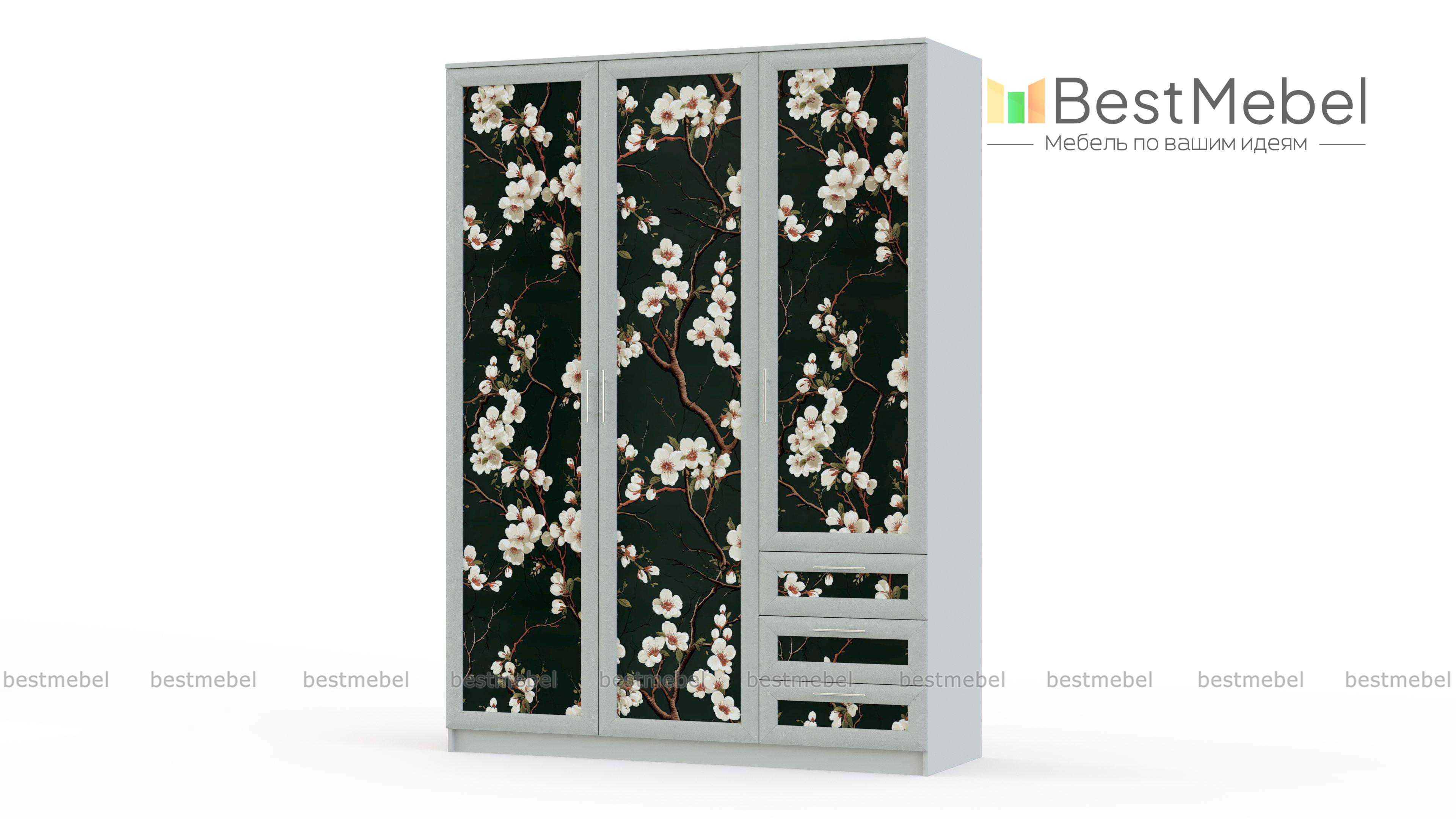 Шкаф Комфорт Люкс 3-3 BMS - Фото