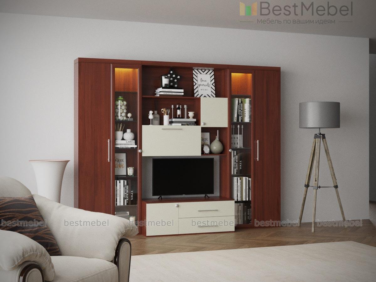 Стенка Анатолий BMS - Фото