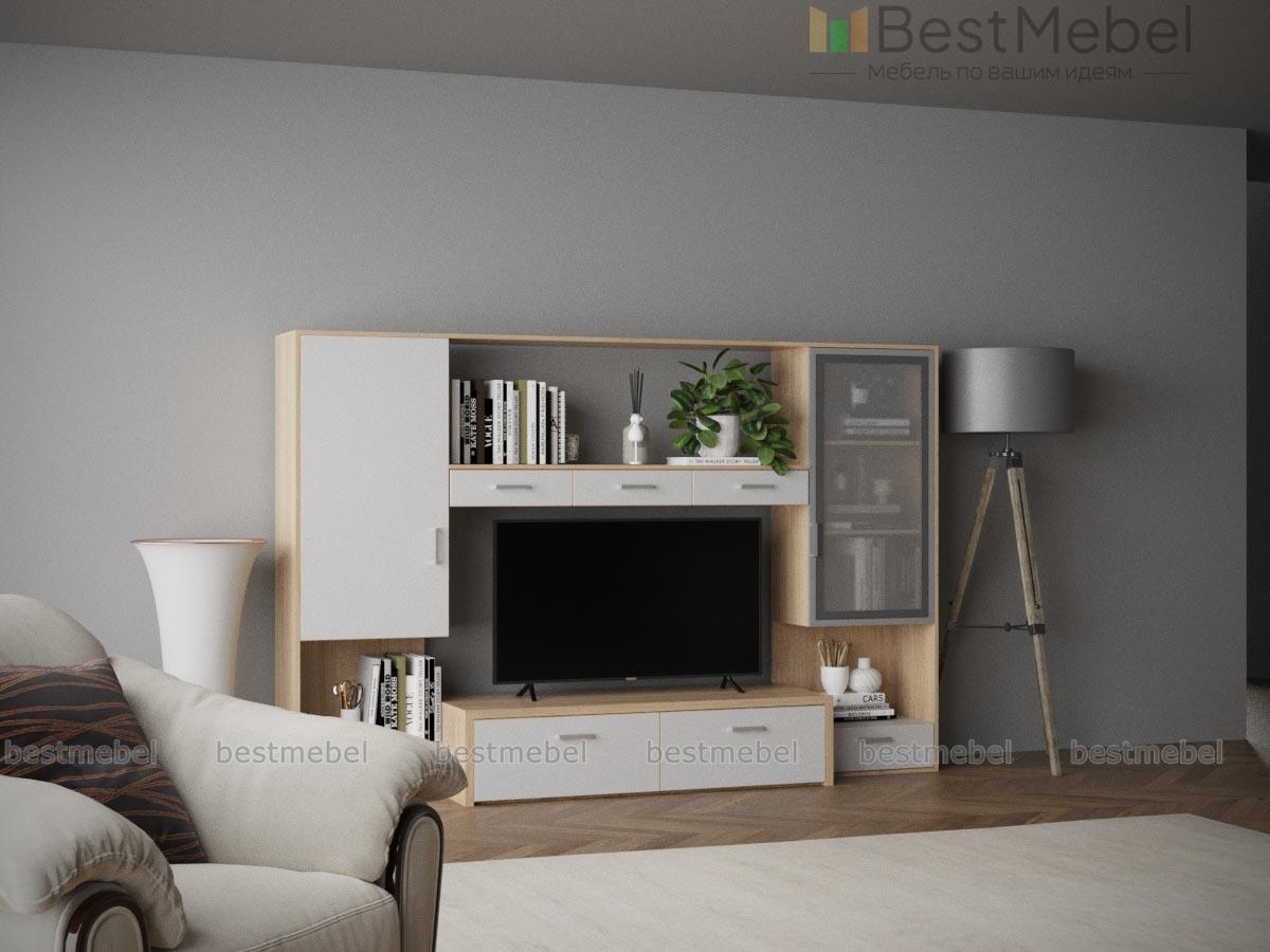 Гостиная Тиса-111 BMS - Фото