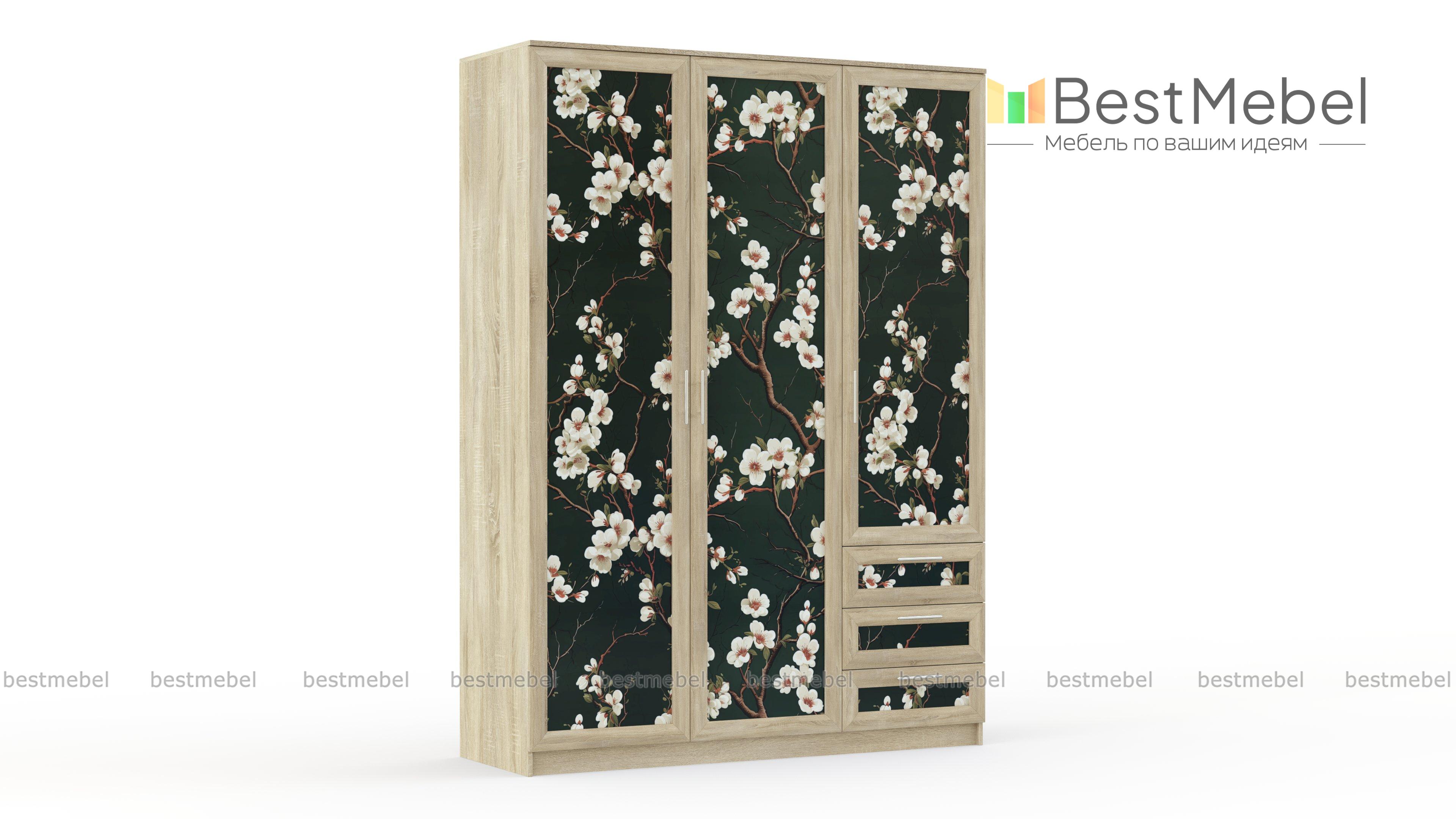 Шкаф Комфорт Люкс 3-3 BMS - Фото