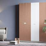 Распашной шкаф Агни М2 BMS - Фото 1