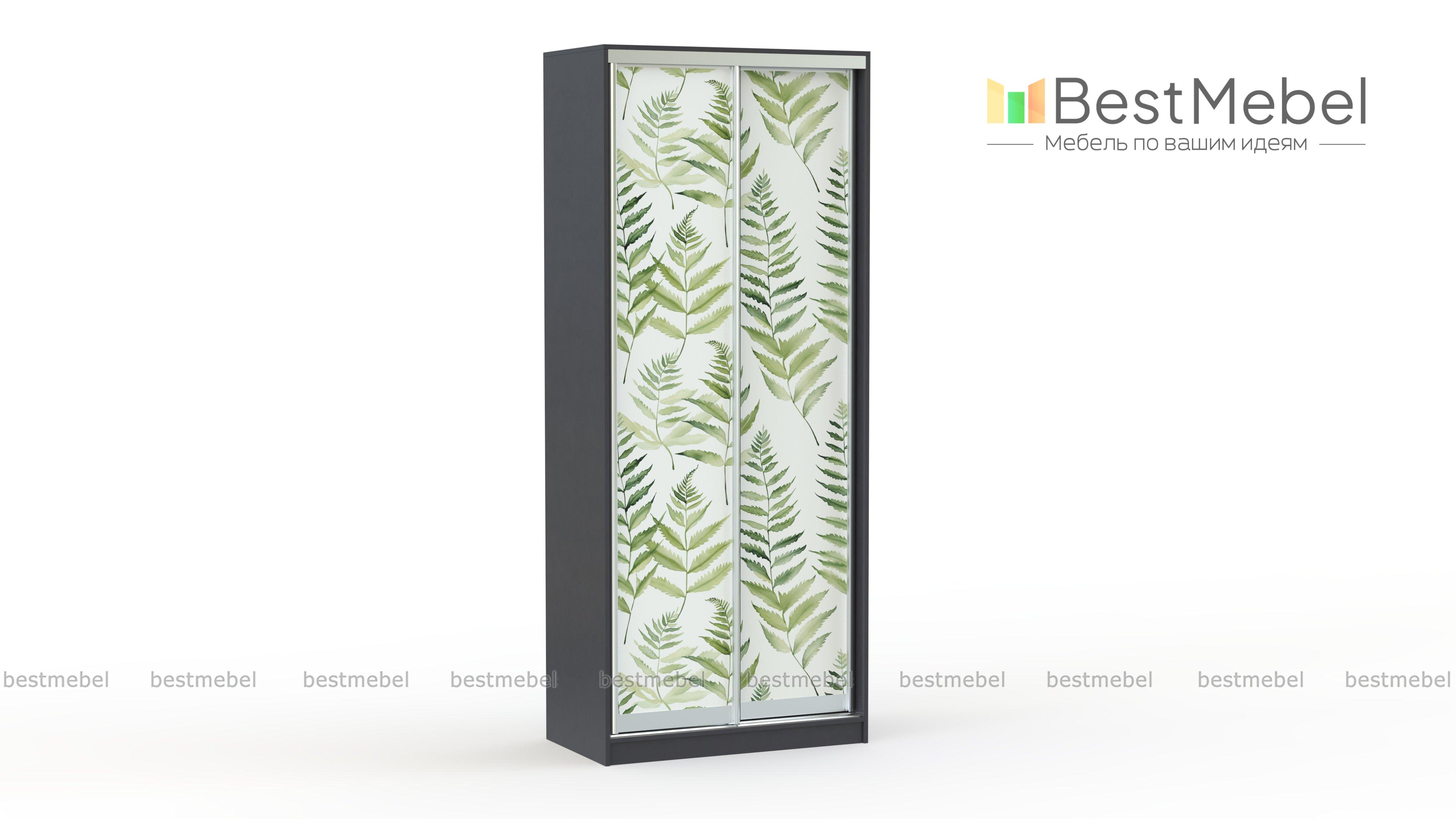 Шкаф-купе Форт 20 BMS - Фото