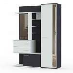 Прихожая Дарина-1 BMS - Фото 1