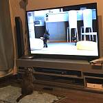 Тумба ТВ 001 BMS - Фото от клиента