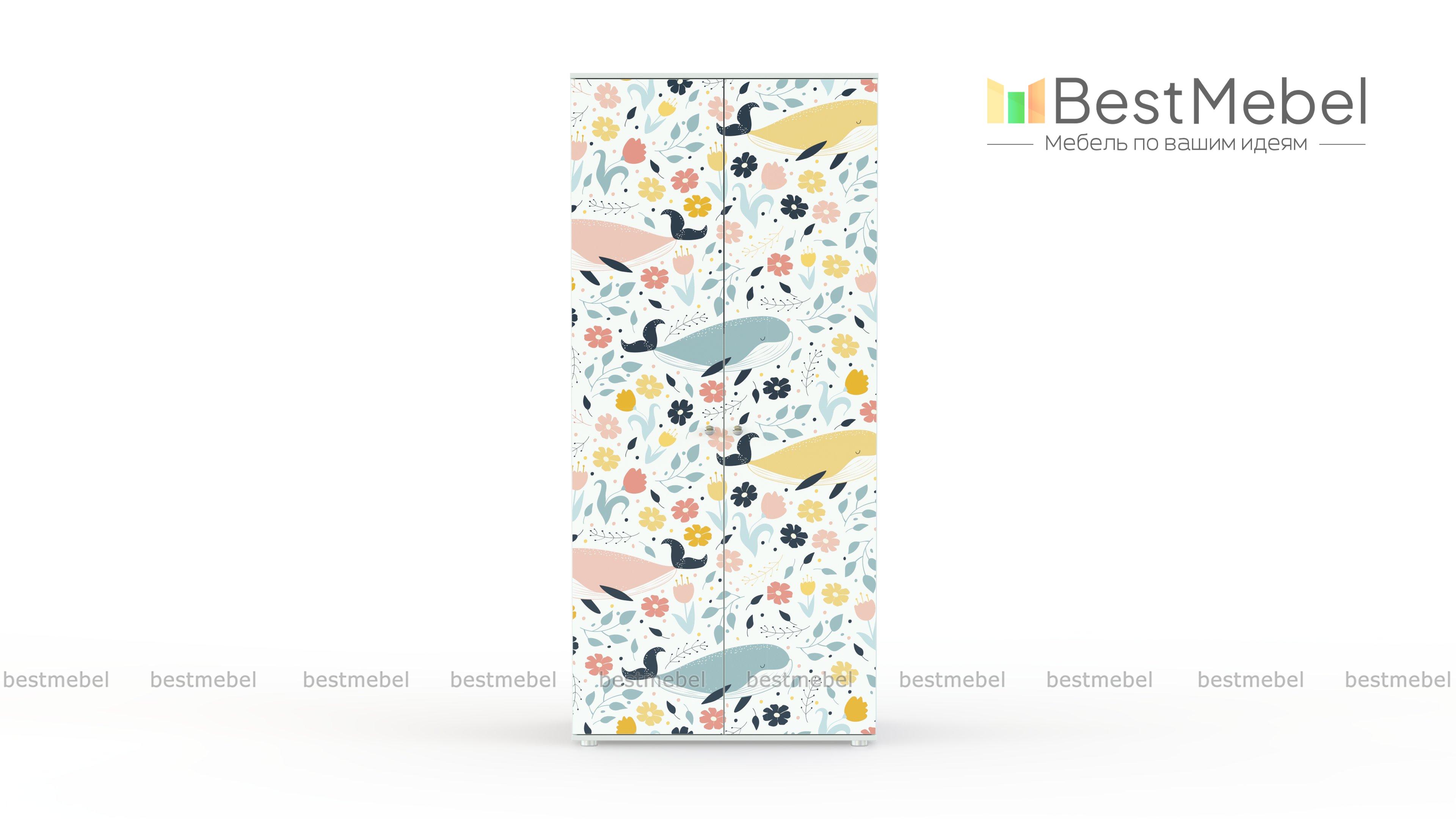 Двуxдверный шкаф Олли BMS - Фото